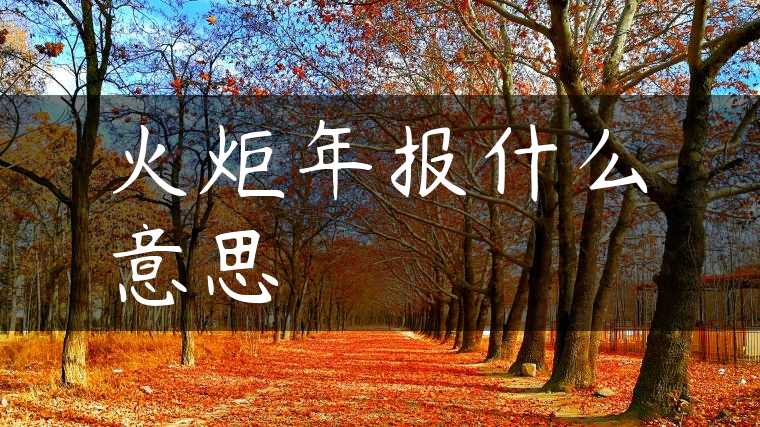 火炬年报什么意思