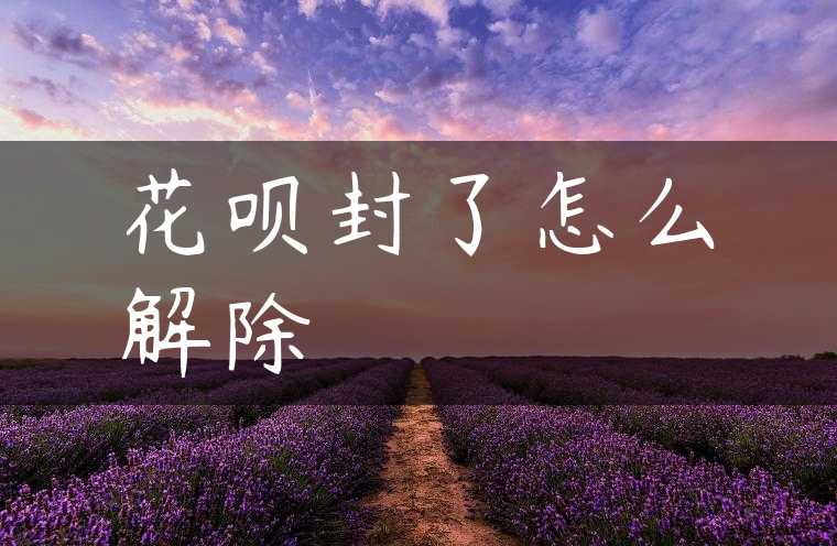 花呗封了怎么解除