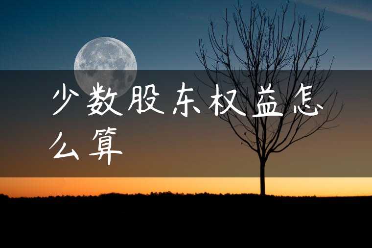 少数股东权益怎么算