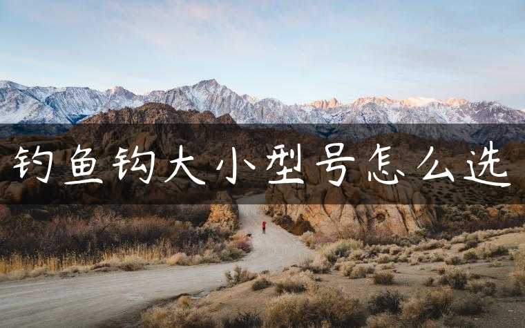 钓鱼钩大小型号怎么选