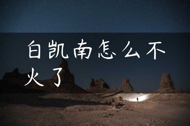 白凯南怎么不火了