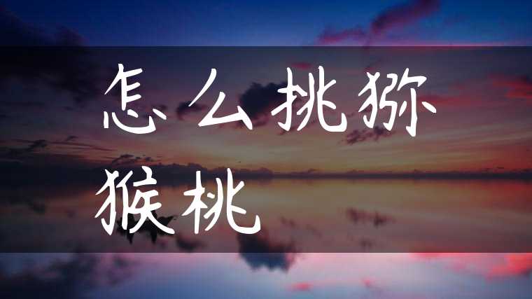 怎么挑猕猴桃