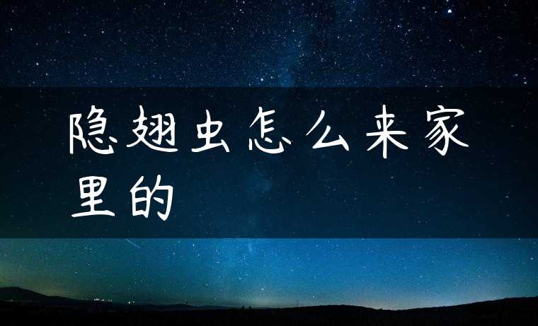 隐翅虫怎么来家里的