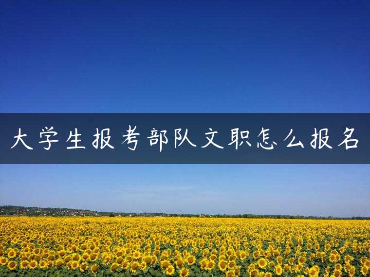 大学生报考部队文职怎么报名