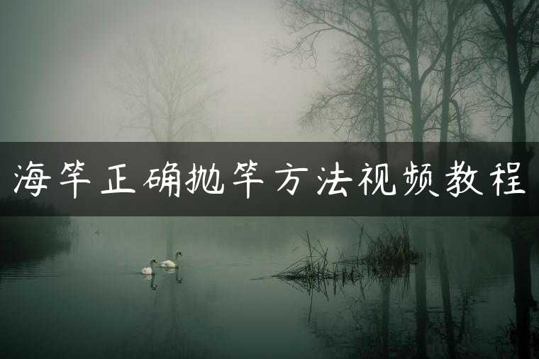 海竿正确抛竿方法视频教程