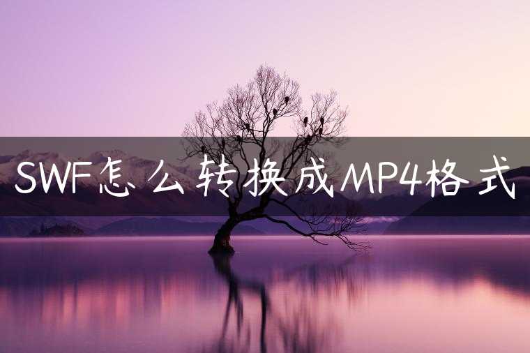 SWF怎么转换成MP4格式