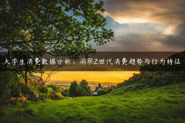 大学生消费数据分析：洞察Z世代消费趋势与行为特征