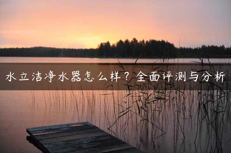 水立洁净水器怎么样？全面评测与分析