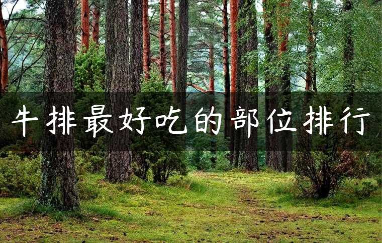 牛排最好吃的部位排行