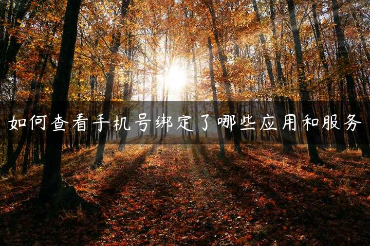 如何查看手机号绑定了哪些应用和服务