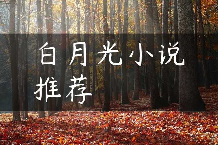白月光小说推荐