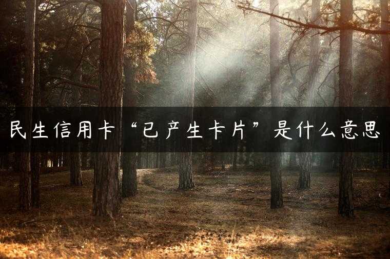 民生信用卡“已产生卡片”是什么意思