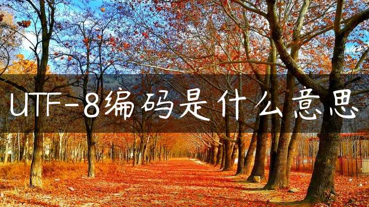 UTF-8编码是什么意思