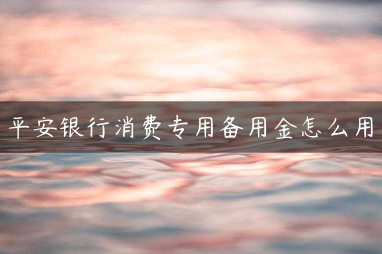 平安银行消费专用备用金怎么用