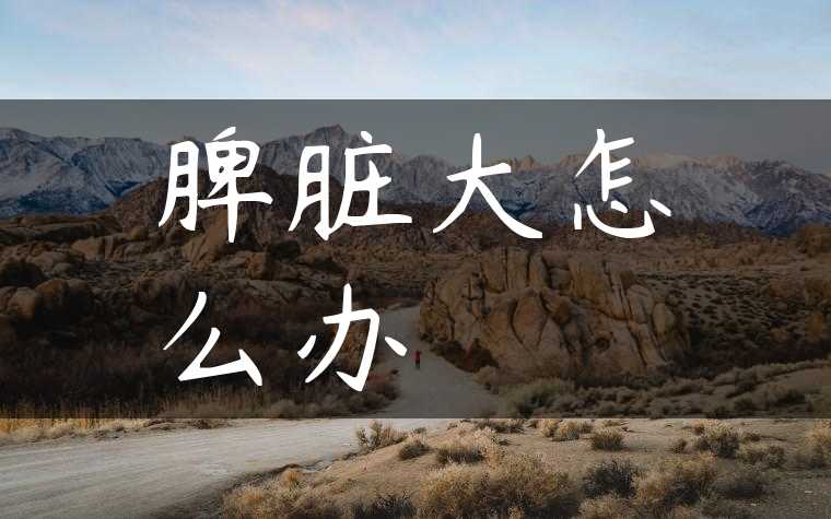 脾脏大怎么办