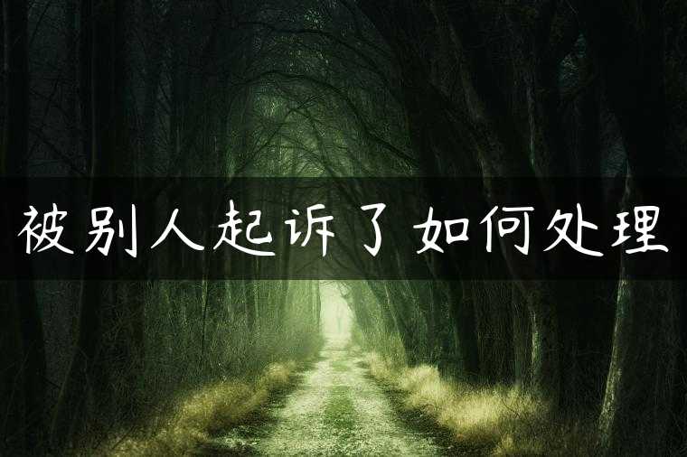 被别人起诉了如何处理