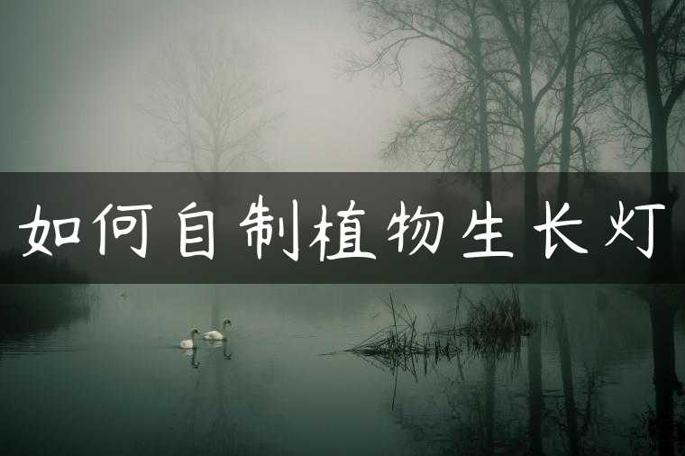 如何自制植物生长灯
