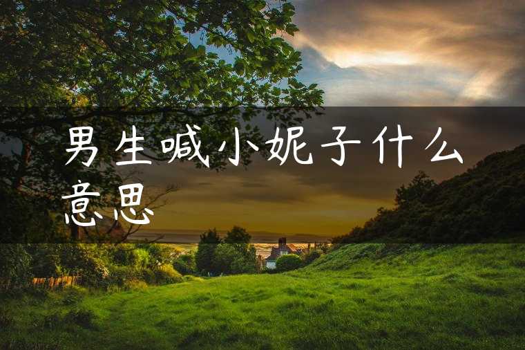 男生喊小妮子什么意思