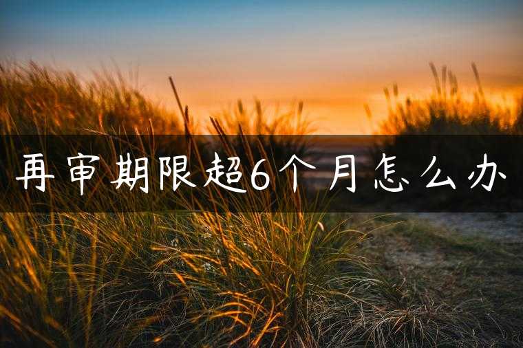 再审期限超6个月怎么办
