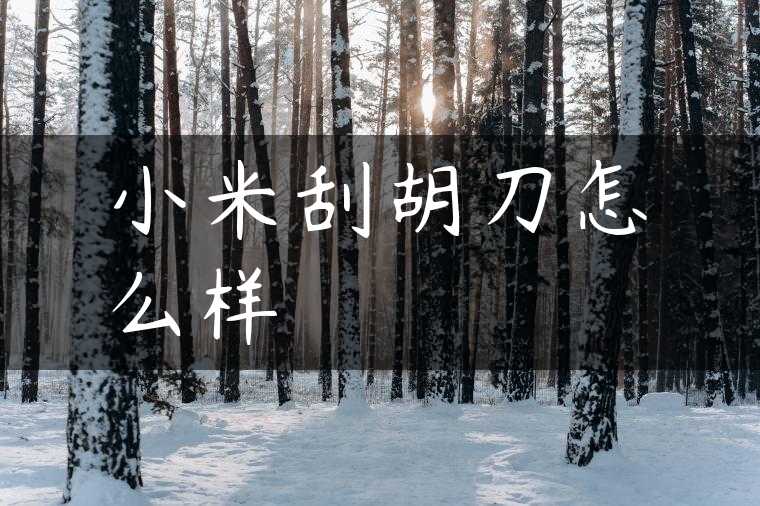 小米刮胡刀怎么样
