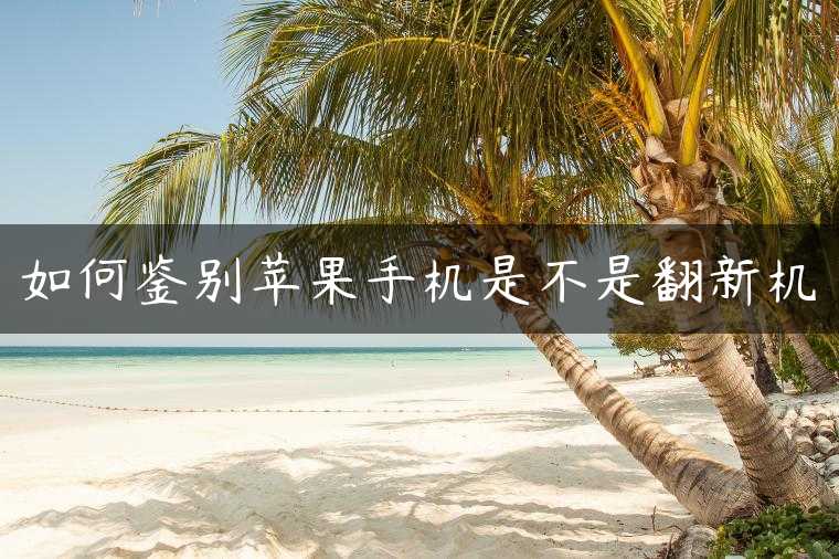 如何鉴别苹果手机是不是翻新机