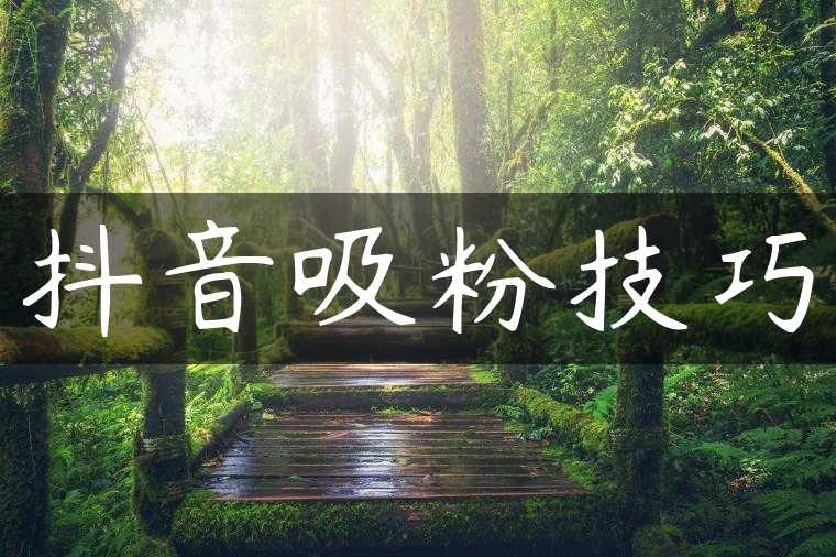 抖音吸粉技巧