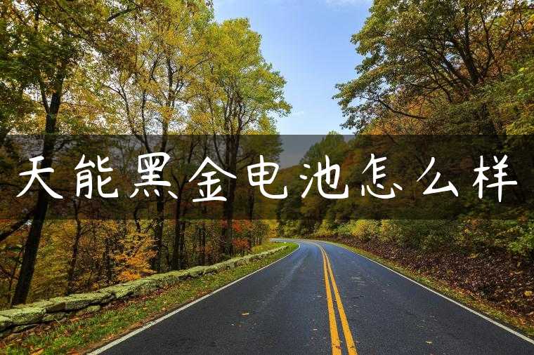 天能黑金电池怎么样