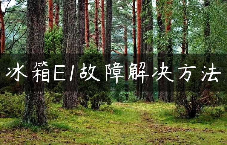 冰箱E1故障解决方法
