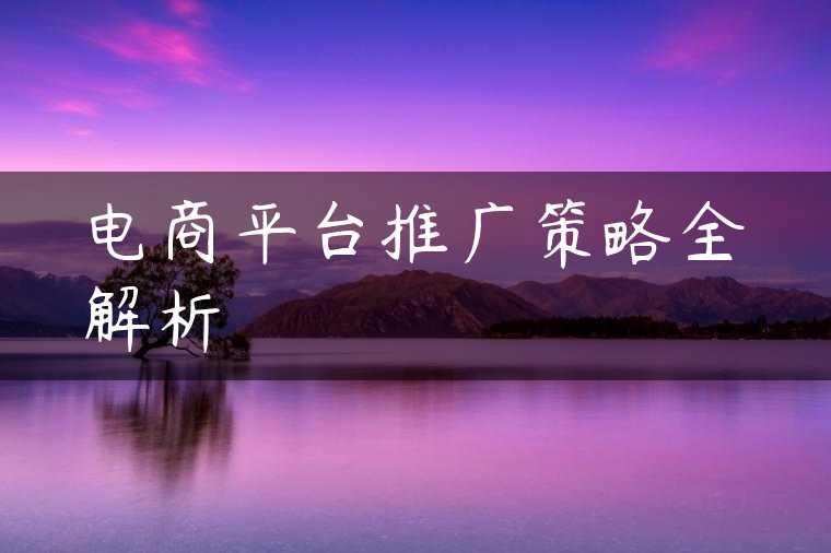 电商平台推广策略全解析