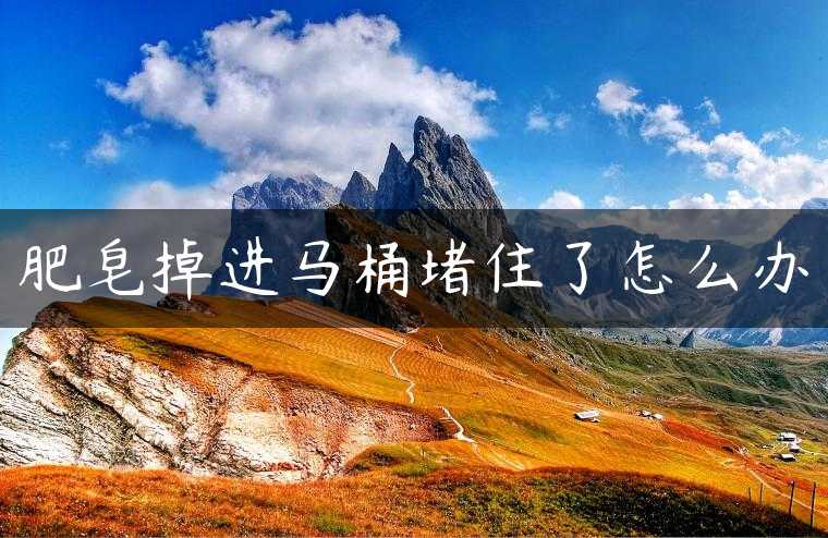 肥皂掉进马桶堵住了怎么办