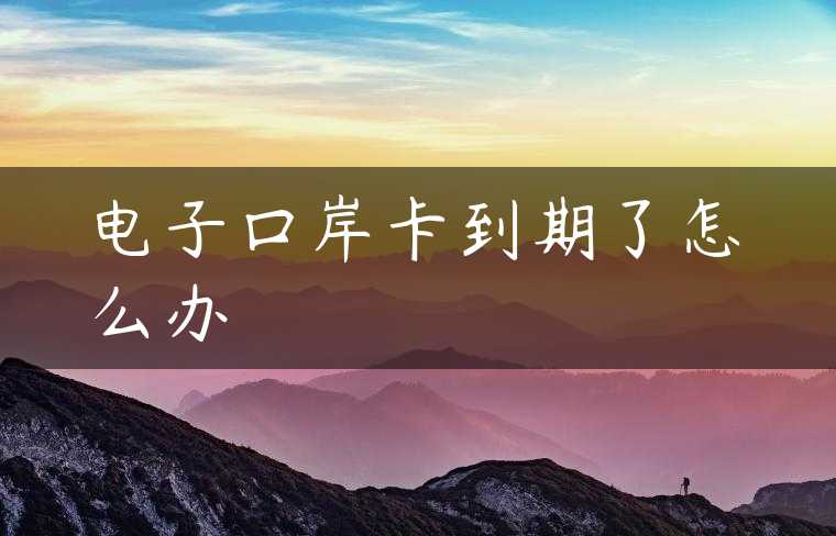 电子口岸卡到期了怎么办