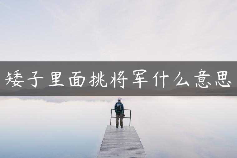 矮子里面挑将军什么意思