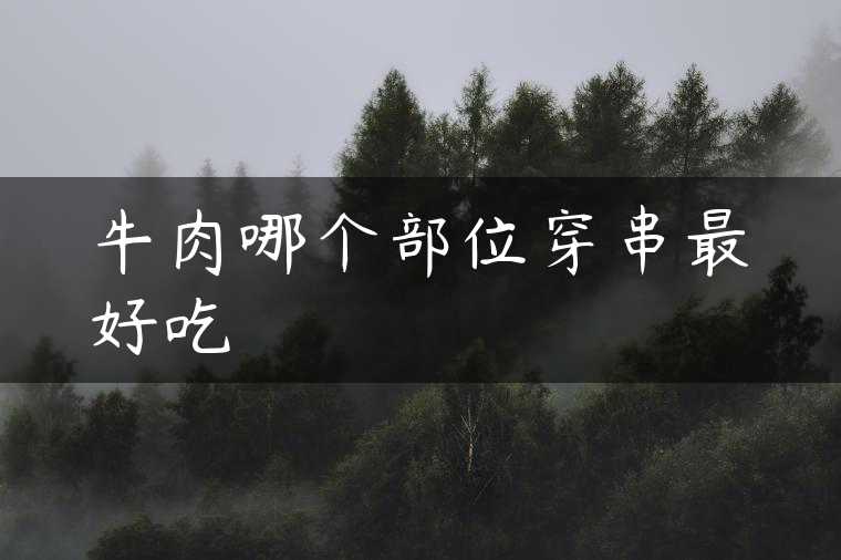 牛肉哪个部位穿串最好吃