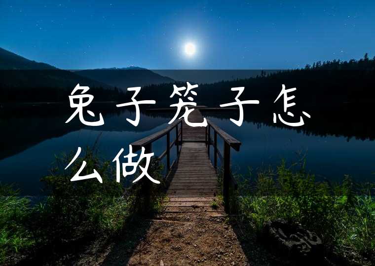 兔子笼子怎么做