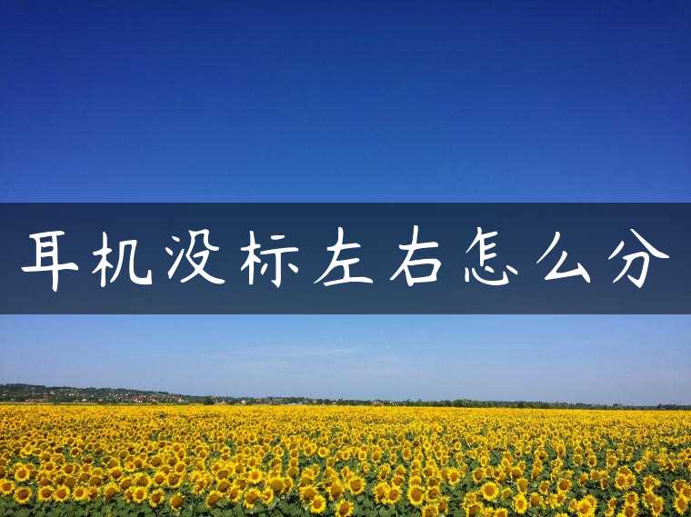 耳机没标左右怎么分