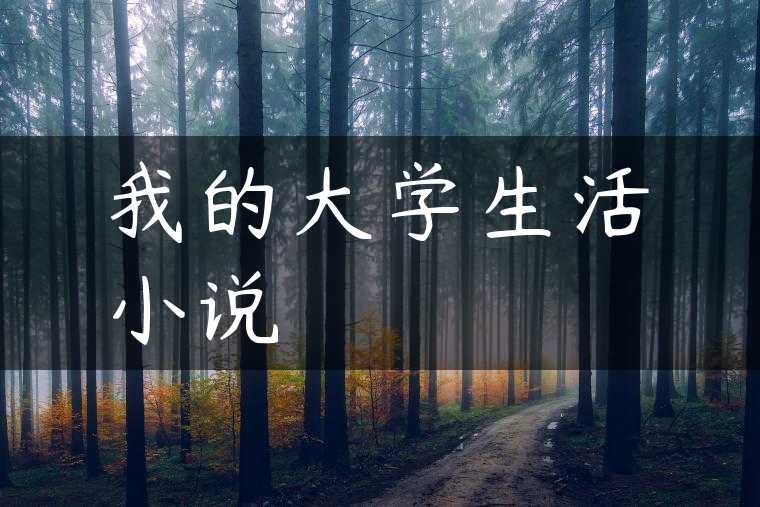 我的大学生活小说