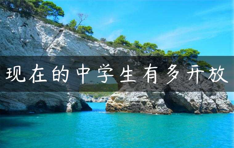 现在的中学生有多开放