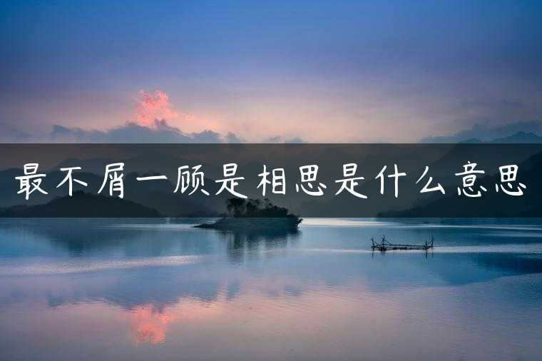 最不屑一顾是相思是什么意思