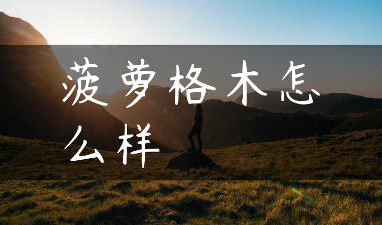 菠萝格木怎么样
