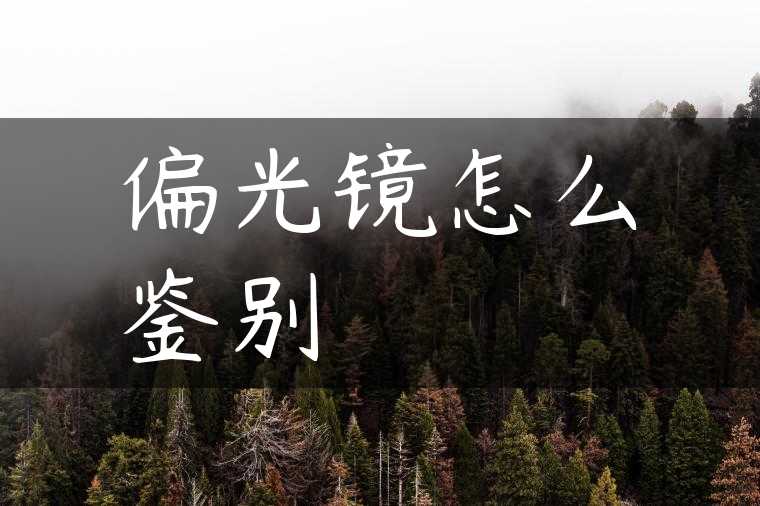 偏光镜怎么鉴别