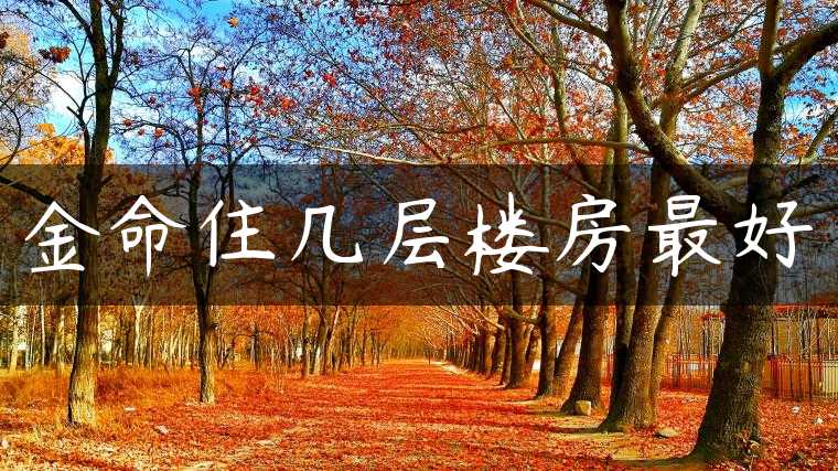 金命住几层楼房最好