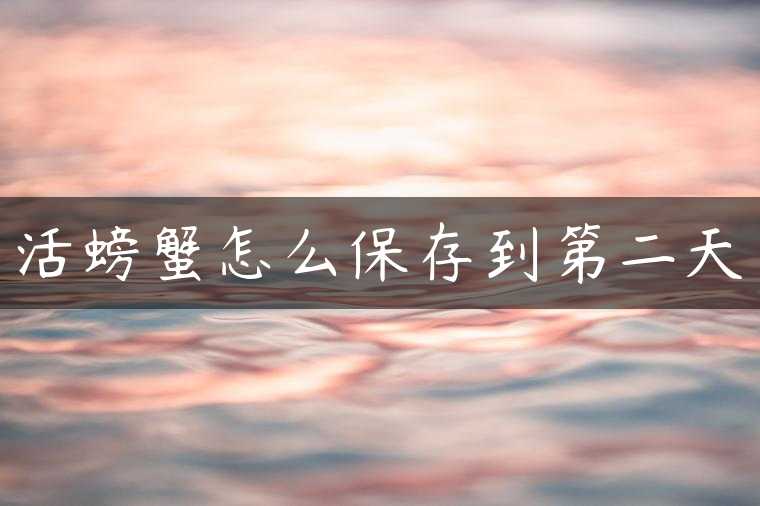活螃蟹怎么保存到第二天