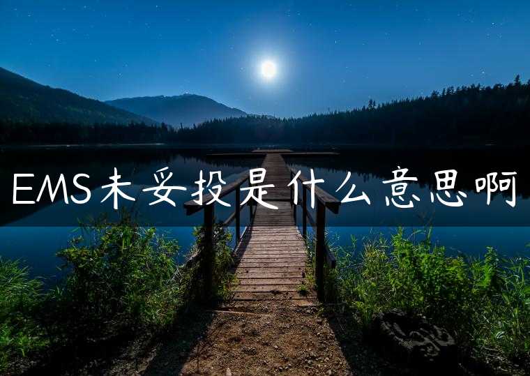 EMS未妥投是什么意思啊