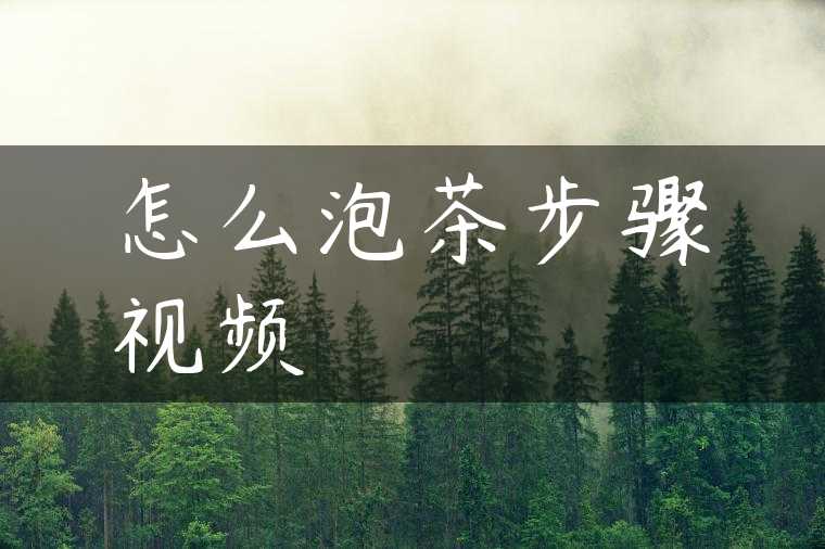 怎么泡茶步骤视频