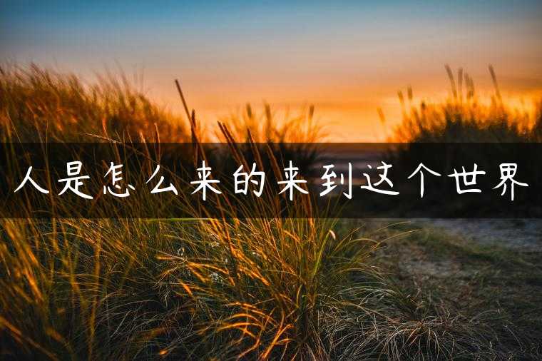 人是怎么来的来到这个世界