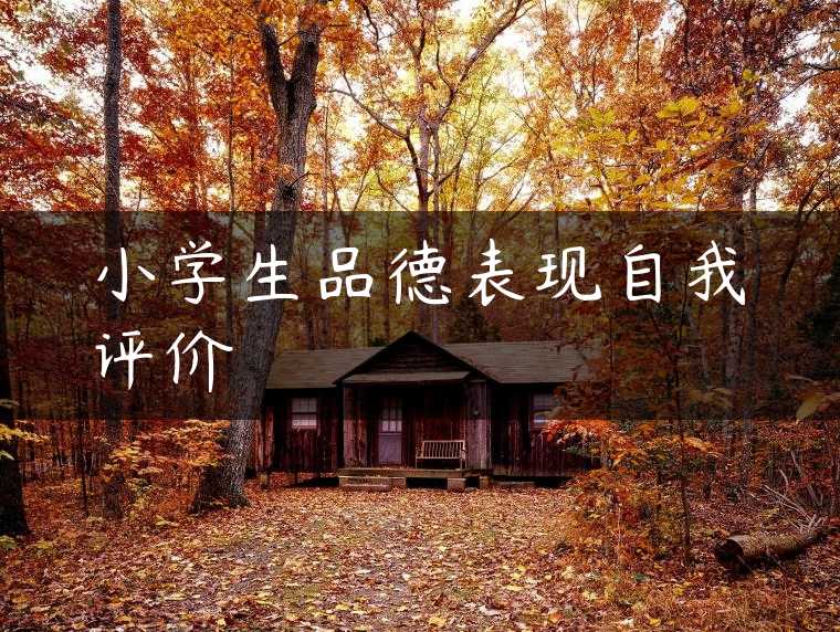 小学生品德表现自我评价