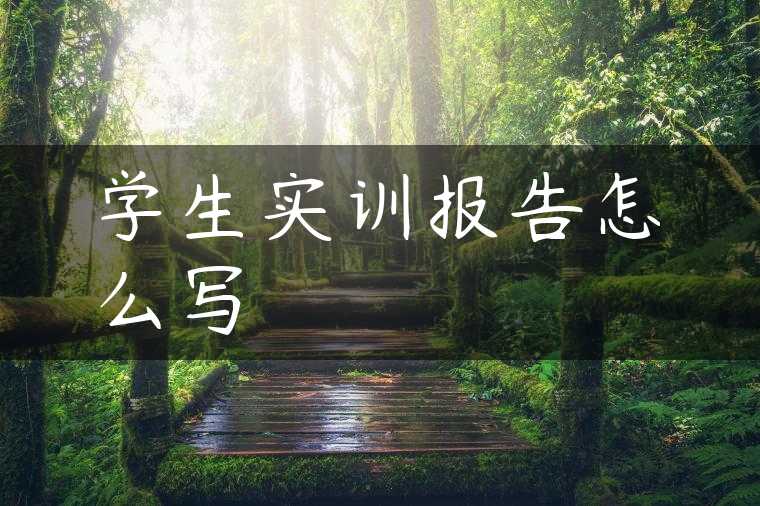 学生实训报告怎么写