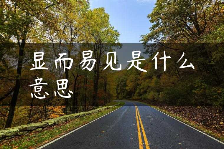 显而易见是什么意思