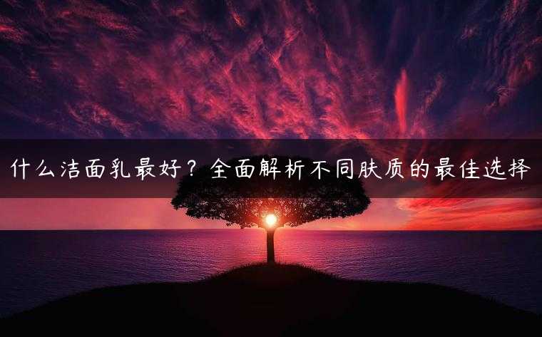 什么洁面乳最好？全面解析不同肤质的最佳选择