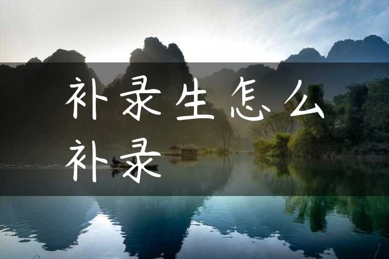 补录生怎么补录